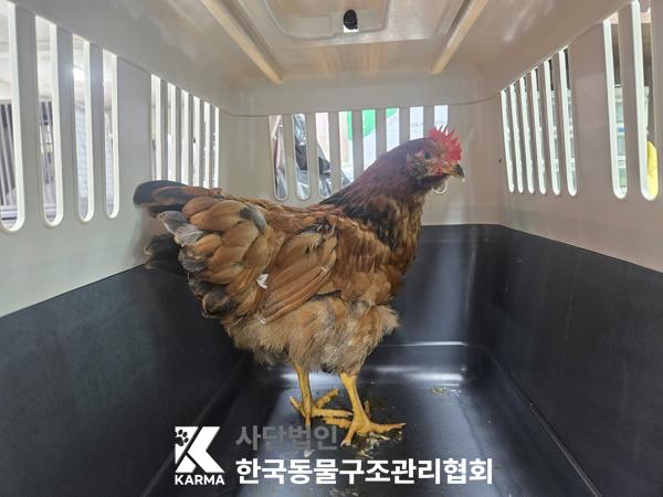 한국동물구조관리협회_411324202500492